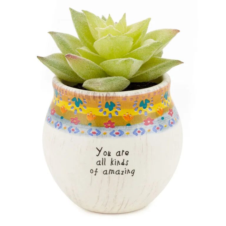 Natural Life Faux Succulent All Kinds Of Amazing Mini Planter, 2" 3 Natural Life Faux Succulent All Kinds Of Amazing Mini Planter, 2"