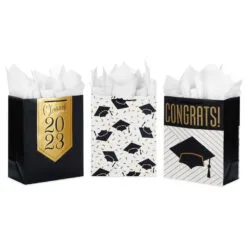 Hallmark 13" Assorted Grad Designs 3-Pack Large Gift Bags With Tissue Paper