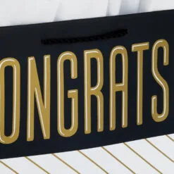 Hallmark 13" Assorted Grad Designs 3-Pack Large Gift Bags With Tissue Paper -Hallmark popular shop Assorted Grad Designs 3Pack Large Gift Bags With Tissue Paper 5GBC1015 05