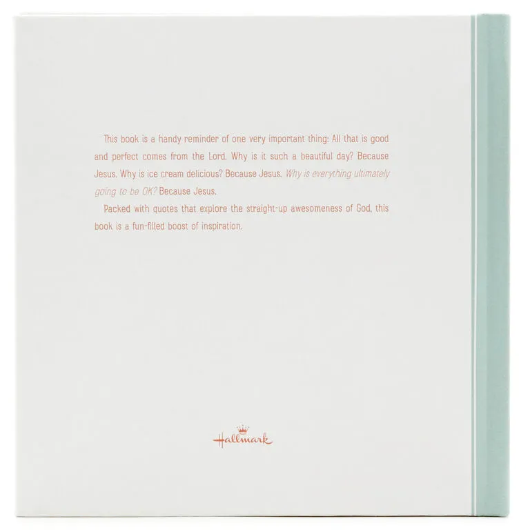 Hallmark Because Jesus Book 4 Hallmark Because Jesus Book - Image 2