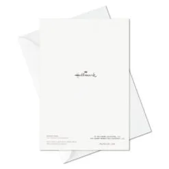 Hallmark Big Celebrations Assorted Cards, Box Of 12 -Hallmark popular shop Big Celebrations Assorted Cards Bulk Pack 5EDX1073 06