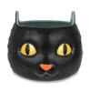 Hallmark Black Cat Glow-in-the-Dark Bowl 2 Hallmark Black Cat Glow-in-the-Dark Bowl -Hallmark popular shop Black Cat GlowintheDark Bowl 1HGN1293 01