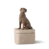 Willow Tree Dark Brown Dog Figurine Keepsake Box -Hallmark popular shop Dark Brown Dog Figurine Keepsake Box 28177 01
