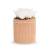 Demdaco Smile Succulent Oil Diffuser -Hallmark popular shop Demdaco Smile White Flower Succulent Oil Diffuser 1004540040 01