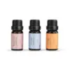 Demdaco Well-Being Essential Oil Trio