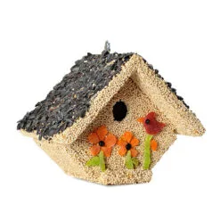 Mr. Bird Spring Fruit Casita Birdhouse