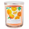 Hallmark Orange Vanilla Cream 3-Wick Jar Candle, 16 Oz. -Hallmark popular shop Orange Vanilla Cream 3Wick Jar Candle 1BGC1062 01