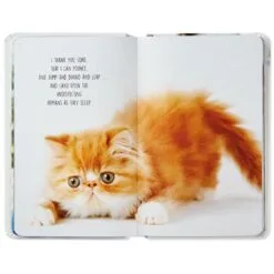 Hallmark Pet Prayers: Funny Pleas And Praise From Our Animal Friends Book -Hallmark popular shop Pet Prayers Funny Pleas and Praise From Our Animal Friends Book root 1BOK1418 BOK1418 1470 3.jpg Source Image