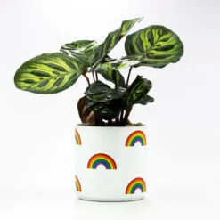 Rainbow Icons On White Ceramic Planter, 4.5" -Hallmark popular shop Rainbow Icons on White Planter 115440 02