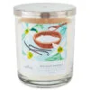 Hallmark Sea Salt Vanilla 3-Wick Jar Candle, 16 Oz. -Hallmark popular shop Sea Salt Vanilla 3Wick Jar Candle 1BGC1064 01