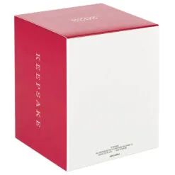 Hallmark Star Wars: The Book Of Boba Fett™ Riding Into The Battle Ornament -Hallmark popular shop Star Wars Boba Fett on Rancor Keepsake Ornament 2499QXI7087 05