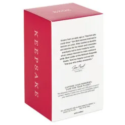 Hallmark Season's Gardenings Ornament -Hallmark popular shop TreeShaped Gardening Planter Keepsake Ornament 1899QGO2947 05