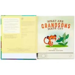 Hallmark What Are Grandsons Made Of? Recordable Storybook 9 Hallmark What Are Grandsons Made Of? Recordable Storybook -Hallmark popular shop What Are Grandsons Made Of Recordable Storybook 1KOB1230 03