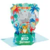 Hallmark Wild Animal Party Boxed Pop-Up Birthday Cards, Pack Of 8 -Hallmark popular shop Wild Animal Party PopUp Boxed Birthday Cards 5STZ1174 01